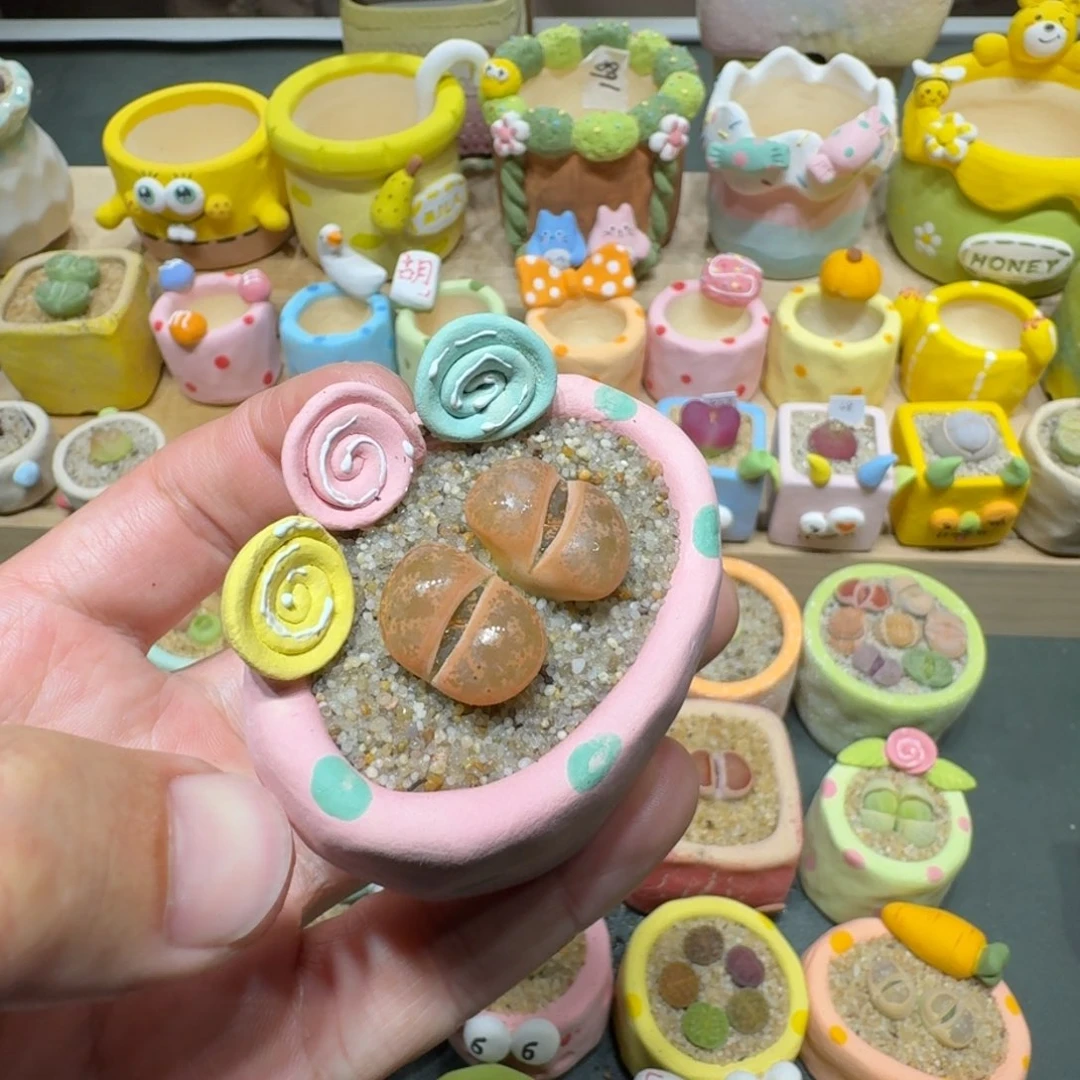 红陶蘑菇391紫薰