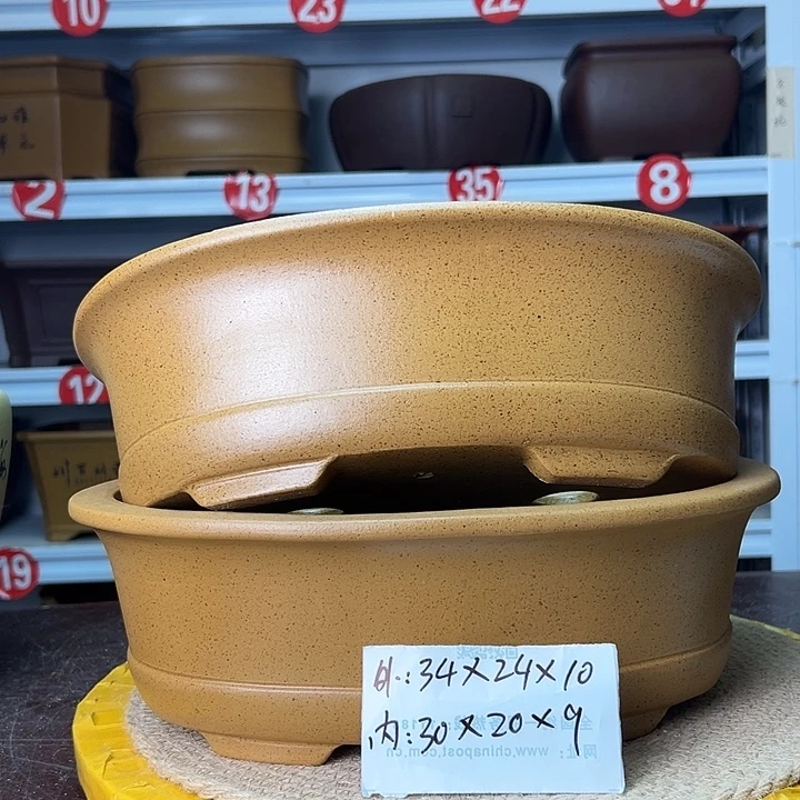 花盆紫砂蛇年大吉