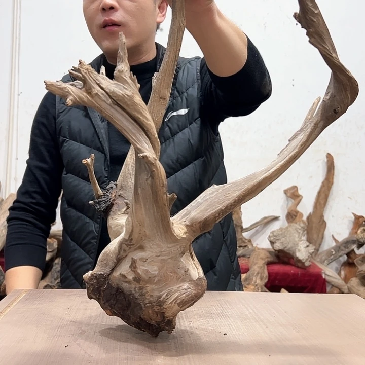 柏木-*鲤我们的生活也是如此的