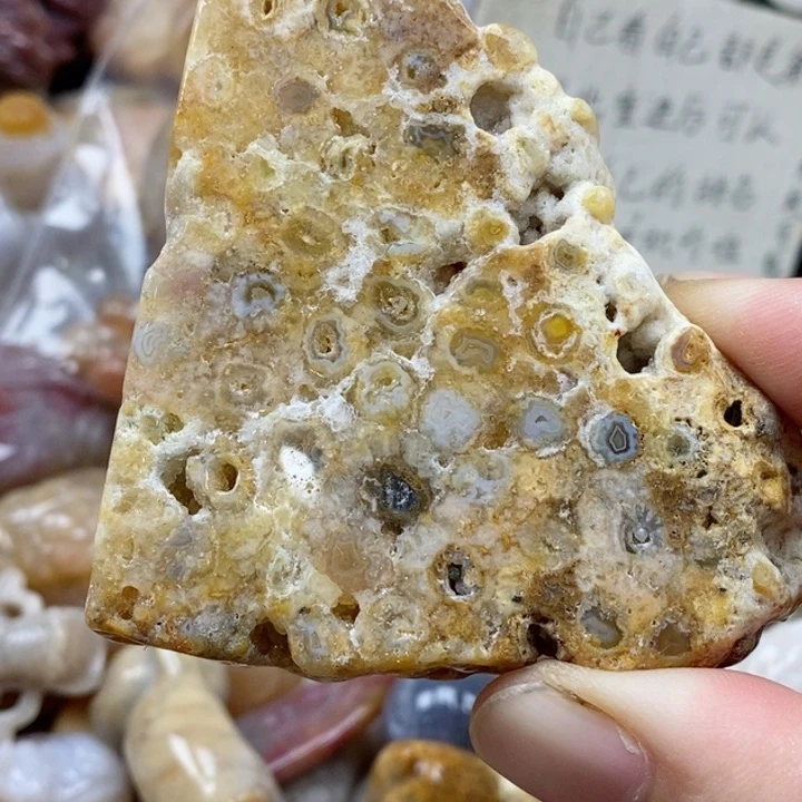 硅化珊瑚（珊瑚玉）未镶嵌颈饰