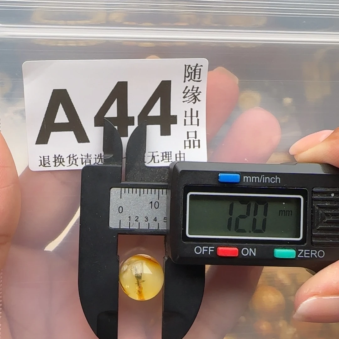 裸石琥珀未镶嵌12尺寸福利