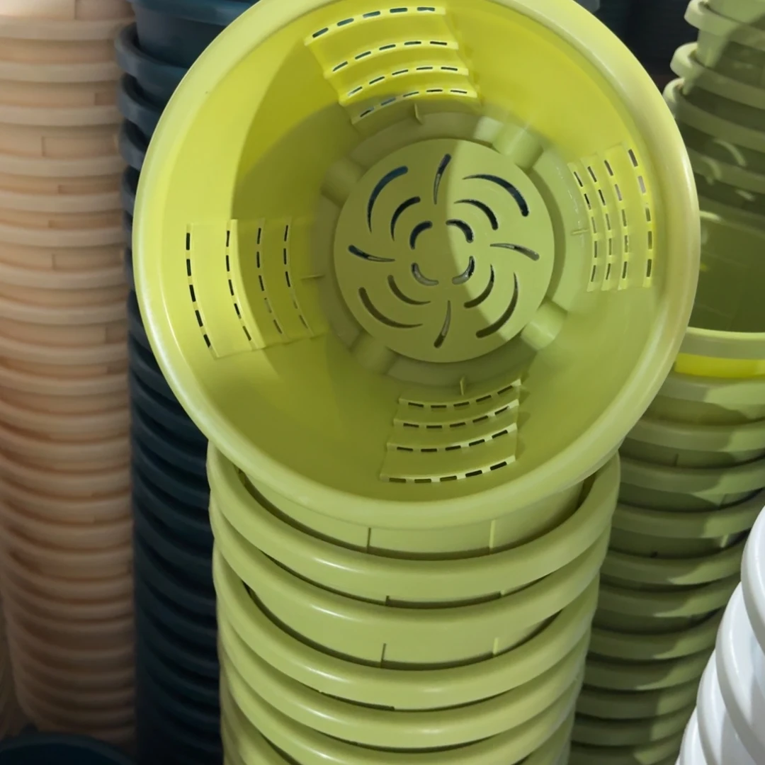 测3#口径25无拖果绿5个