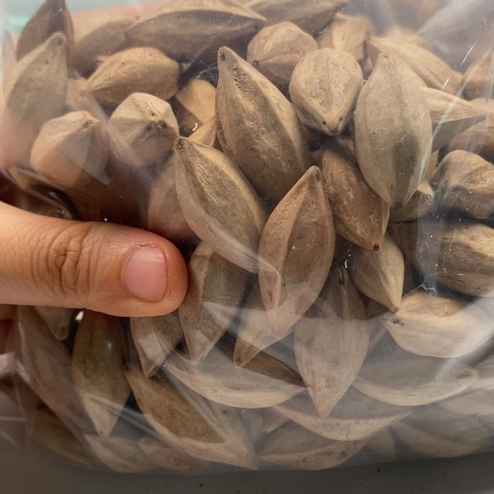 森***作手串/手链橄榄核橄榄核雕