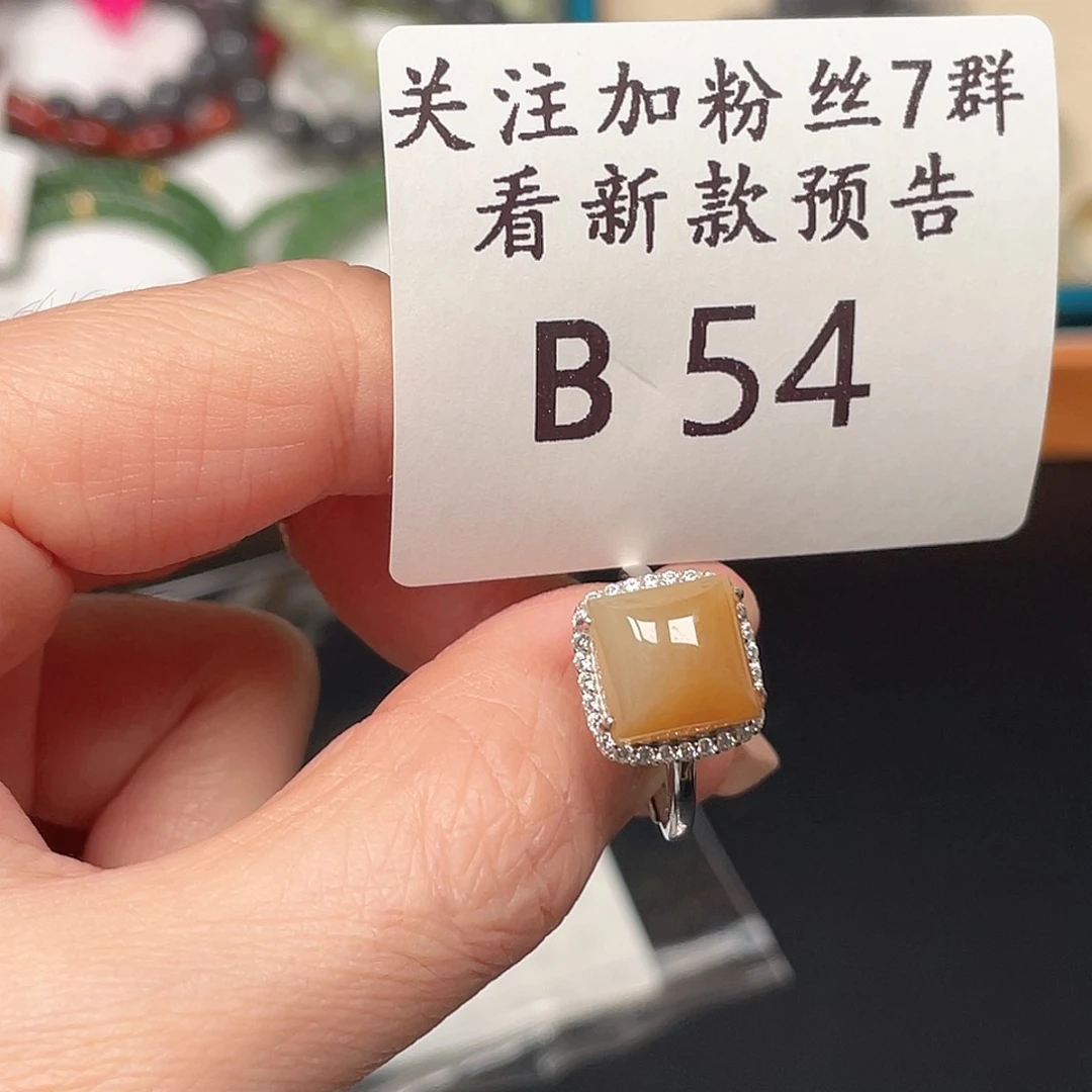 和田玉未镶嵌珠宝半成品B54