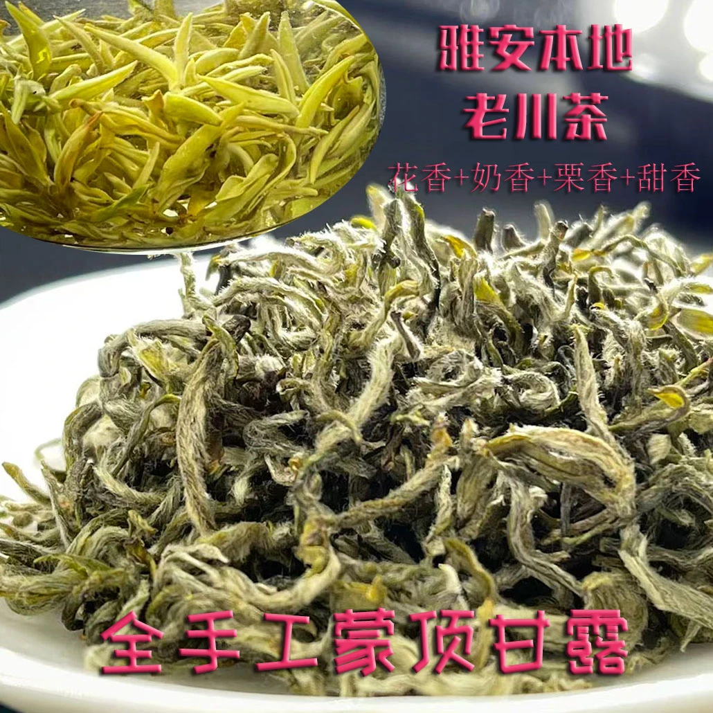 老川茶蒙顶甘露2025年新茶全手工明前头采绿茶雅安蒙顶本地高山茶