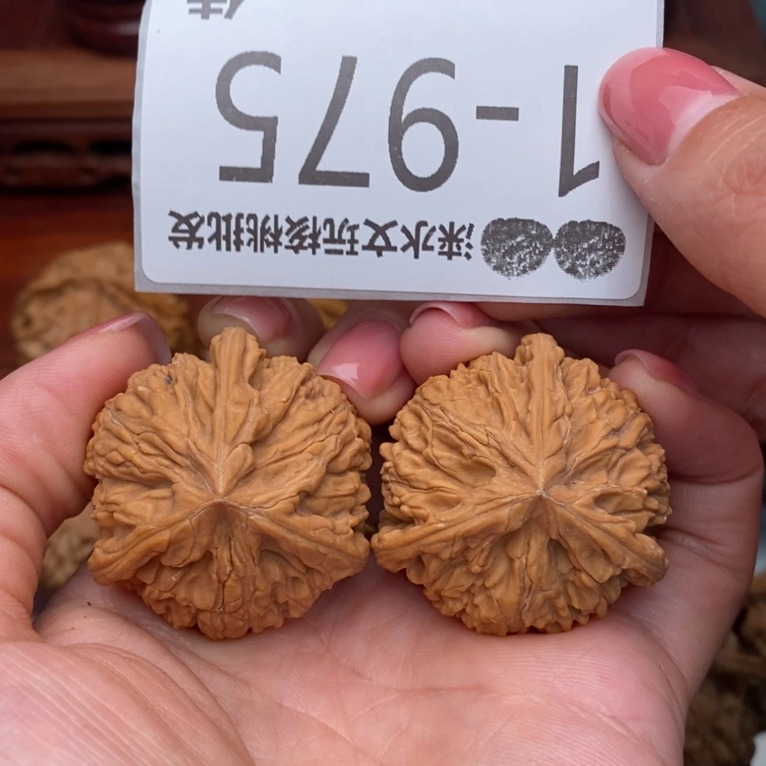 文玩核桃把件37文山奔