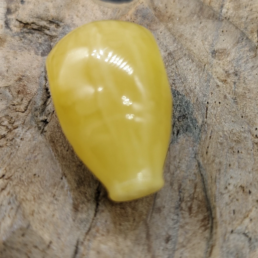 原矿蜜蜡未镶嵌三通17mm