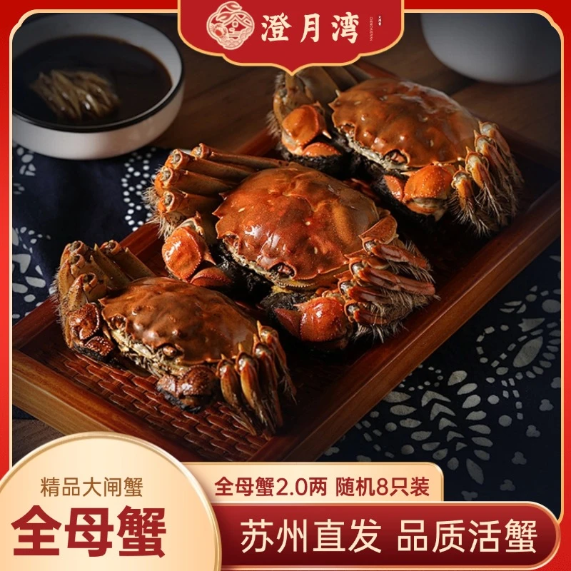 【活蟹】澄月湾全母蟹2.0两8只精品大闸蟹江苏大闸蟹