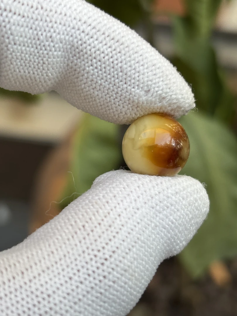 3853天然蜜蜡琥珀圆珠12.5MM