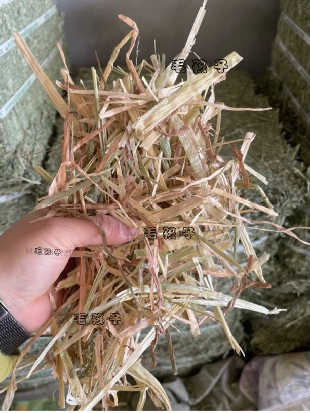 澳洲专用烘干燕麦草澳提摩西兔子麦草宠物牧草兔粮龙猫干兔子草粮