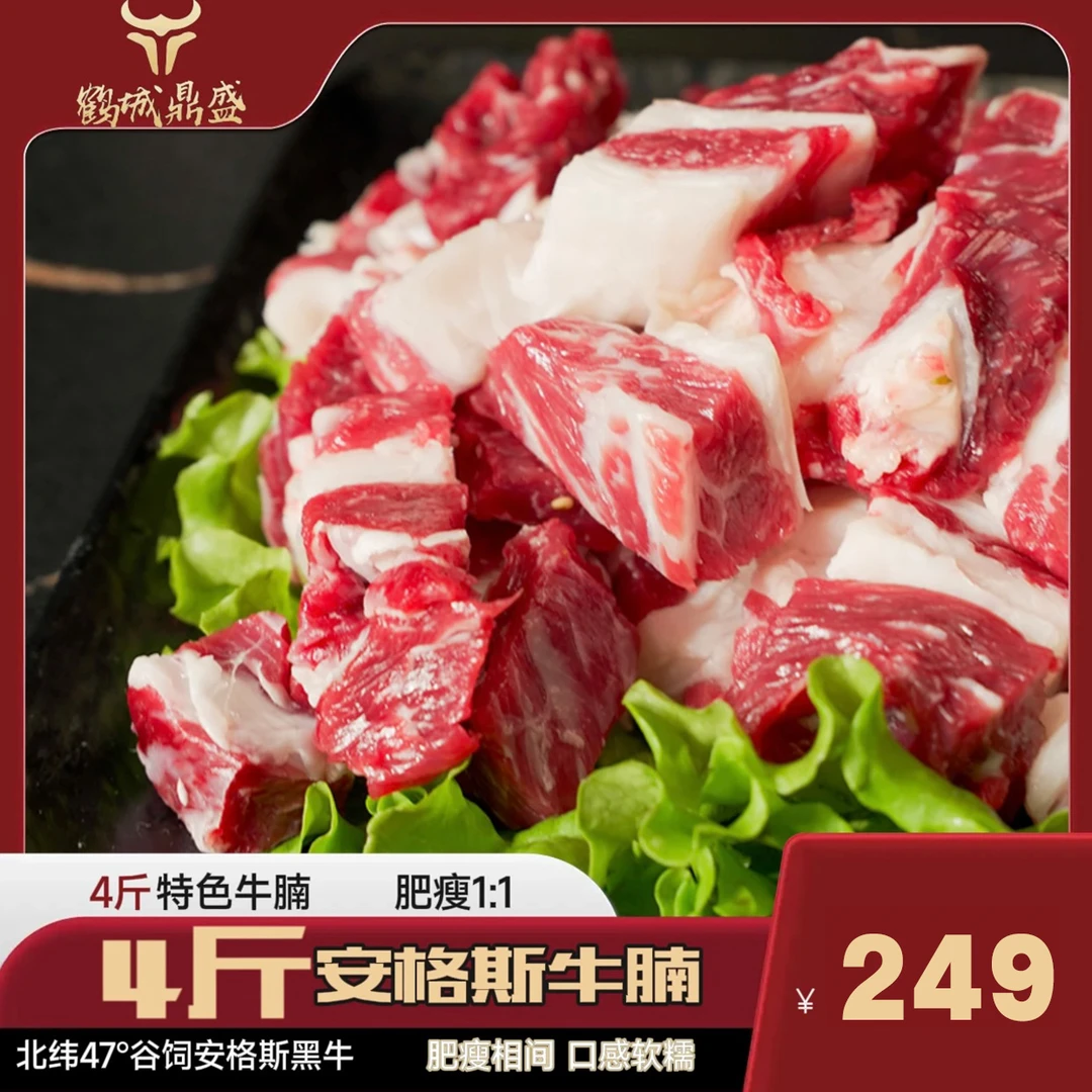 国产原切安格斯新鲜雪花牛腩食材半成品谷饲喂养无注水炖煮精选