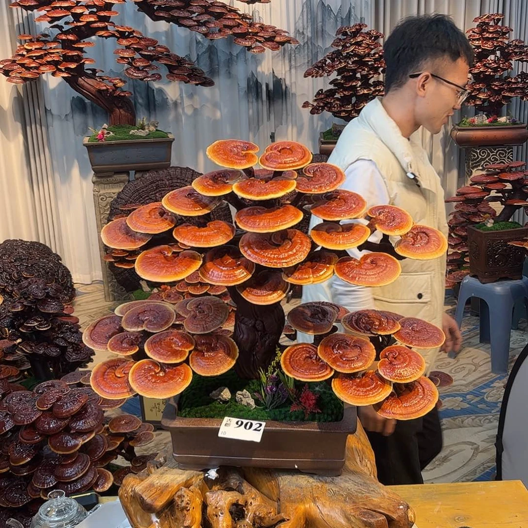 无花朵88888888888