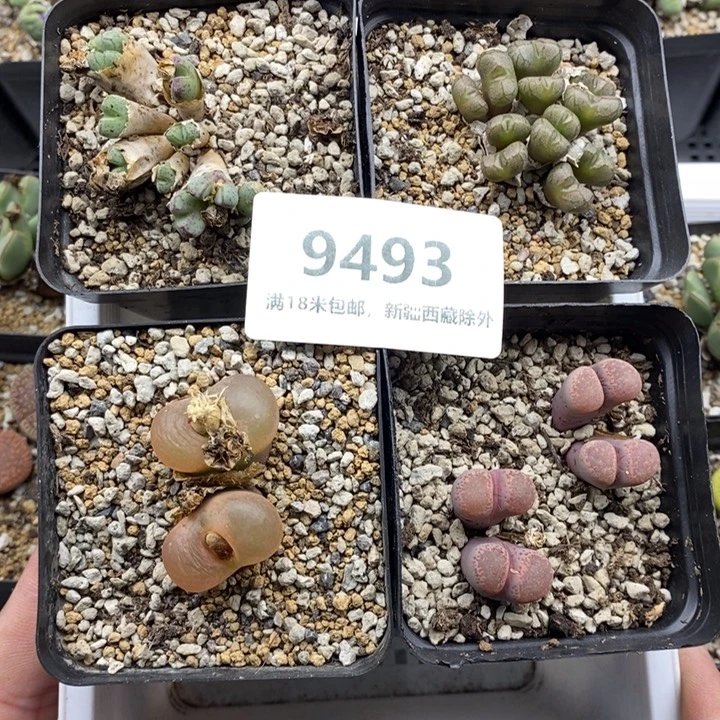 9493。
