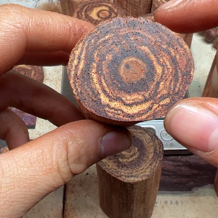 藤类降真香东芝白油肉中甲原木大小不一