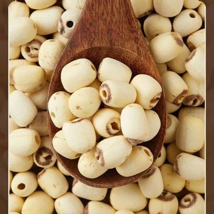 【阿飞专属】新鲜磨皮去芯白莲子干货清香滋补煲汤煮粥佳品