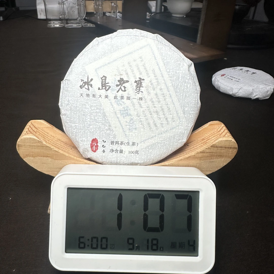 【1888号】2025年冰岛老寨单株生茶100g（9月17号）Z