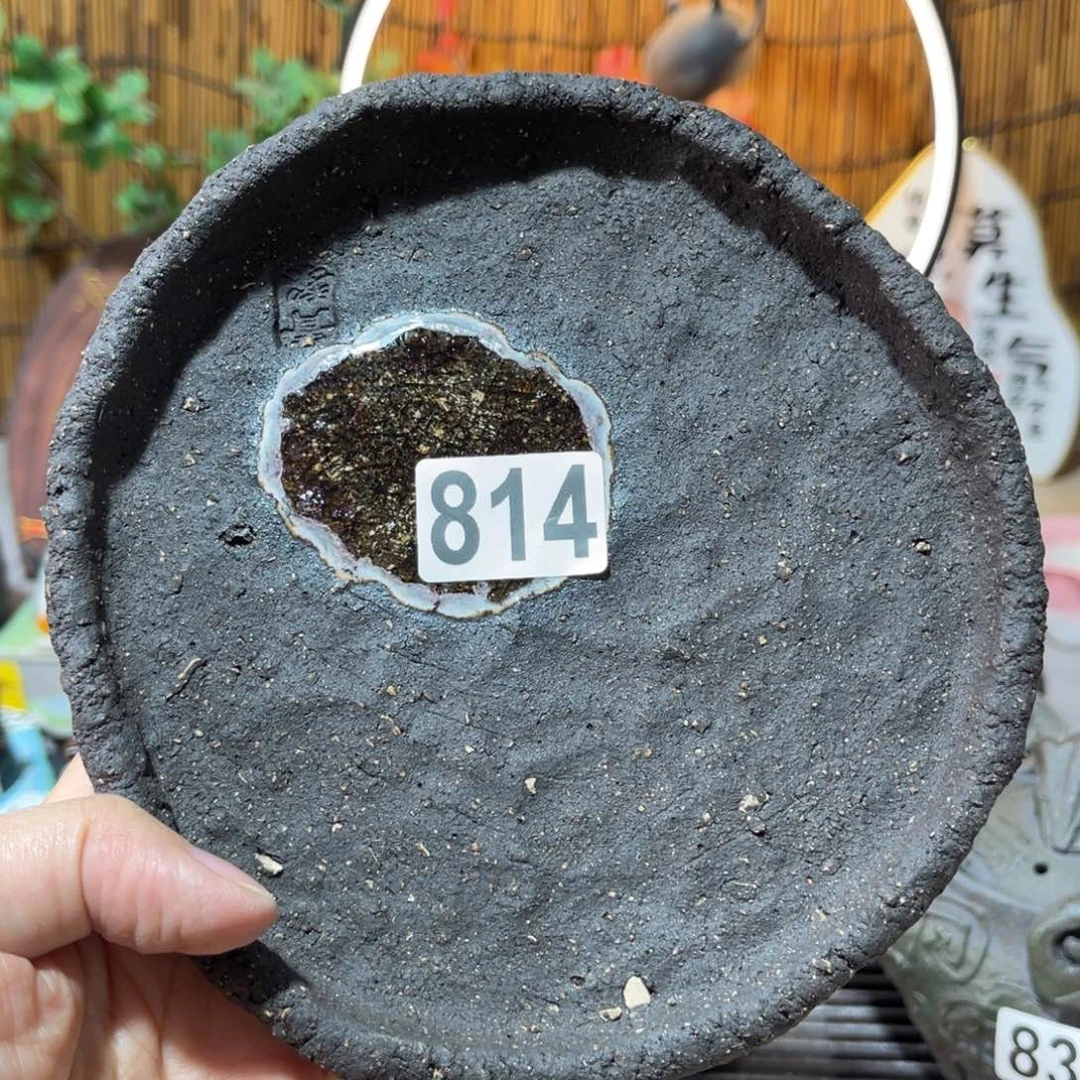 木村信弘柴烧保平