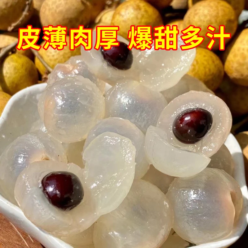 【顺丰石峡】石峡龙眼新鲜甜采摘爽脆皮薄肉厚脆多汁龙眼【短枝锁鲜】
