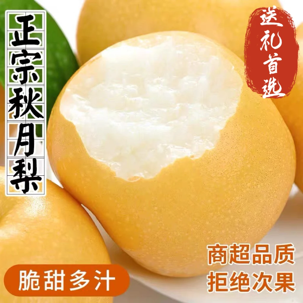 正宗山东秋月梨现摘现发脆甜多汁薄皮新鲜应季水果