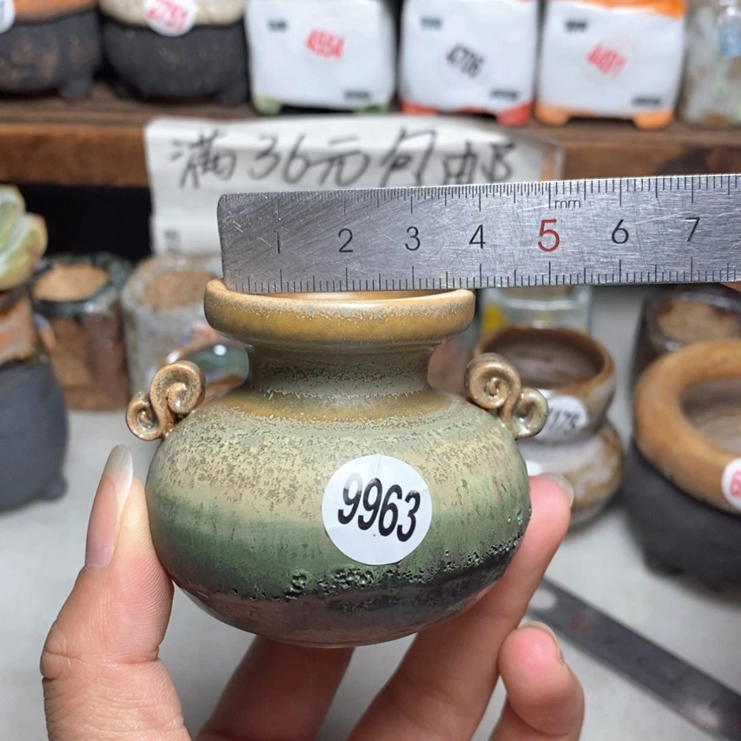拍5送一个小礼物