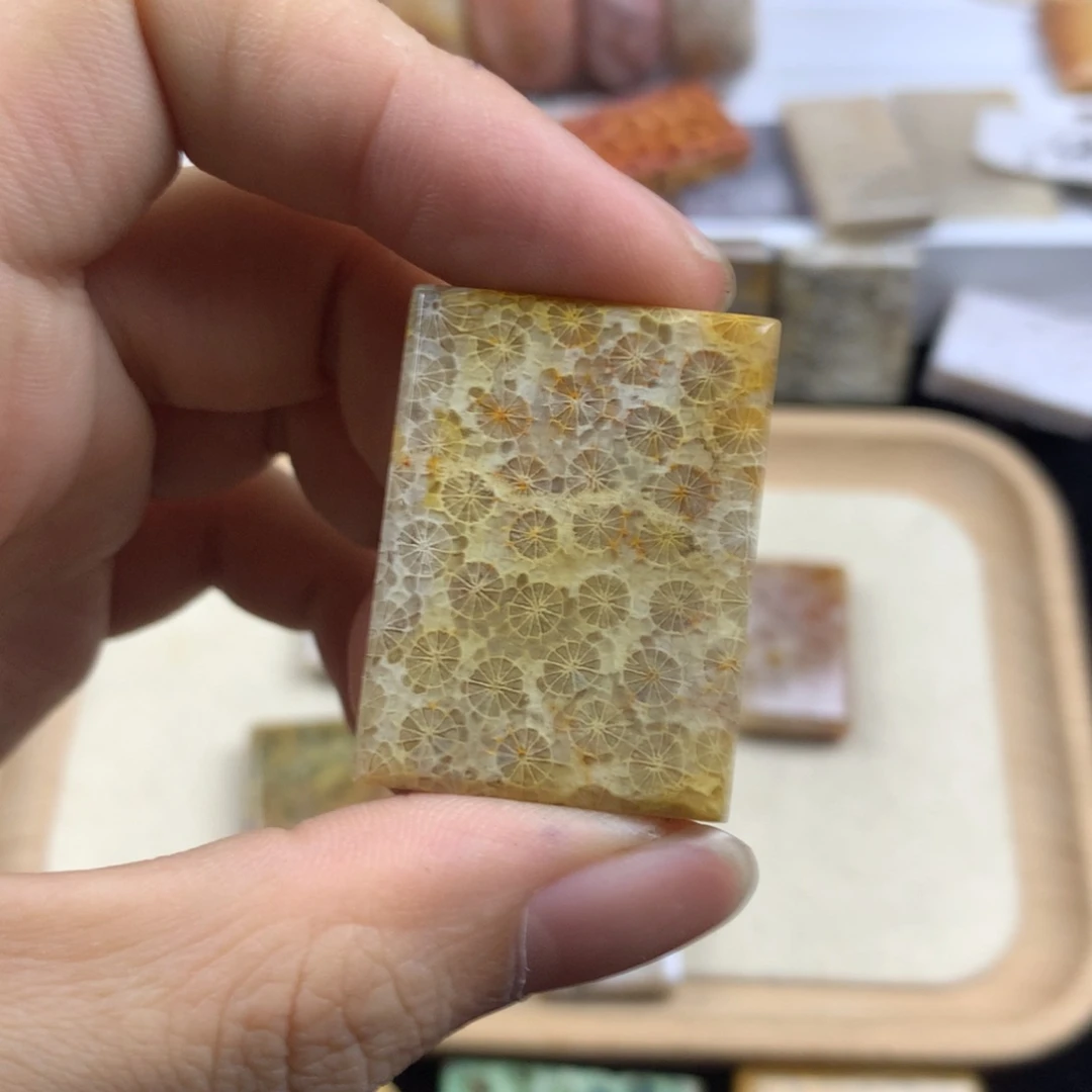 硅化珊瑚（珊瑚玉）无未镶嵌沸****鲁