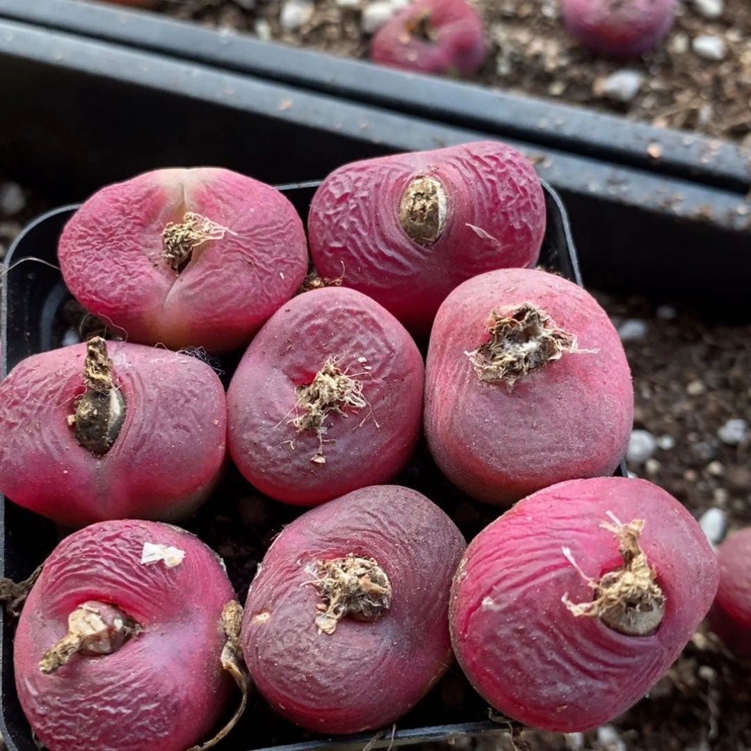 13121一组一组一组