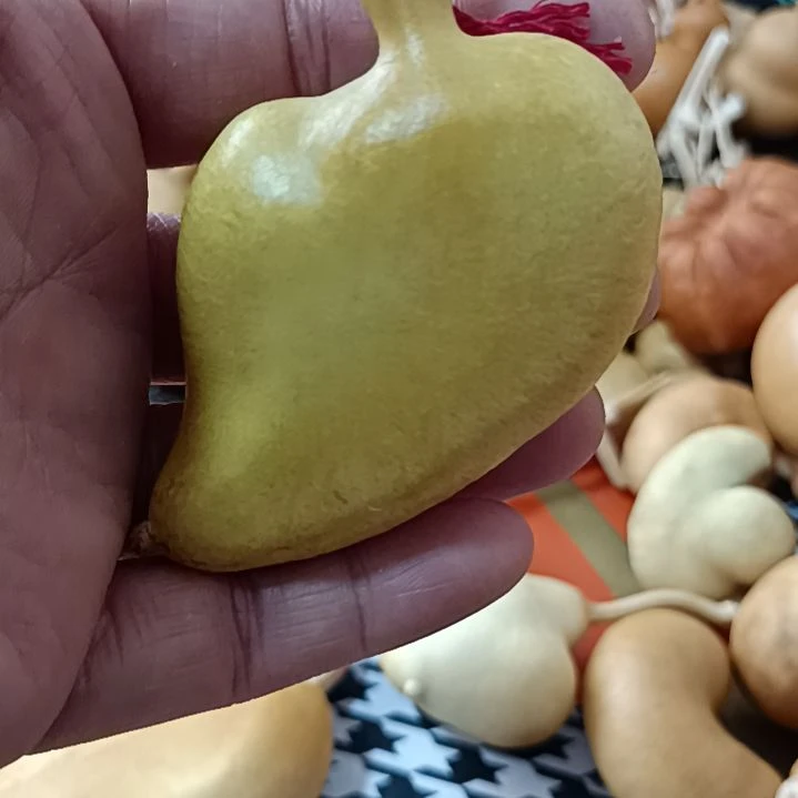 西****?葫芦葫芦葫芦葫芦