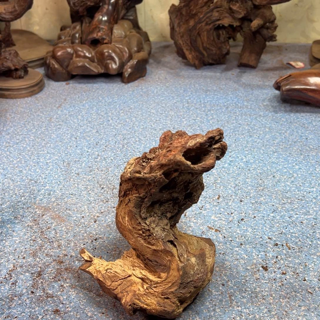 雨***伞黄花梨/降香黄檀老料