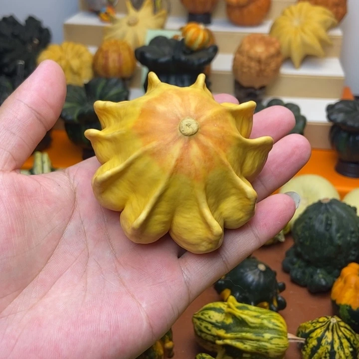 A*福利福利福利福利福利