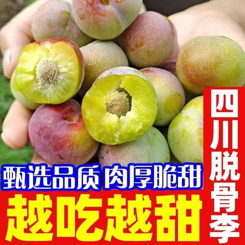 四川本地正宗脱骨李子现货新鲜水果青脆李