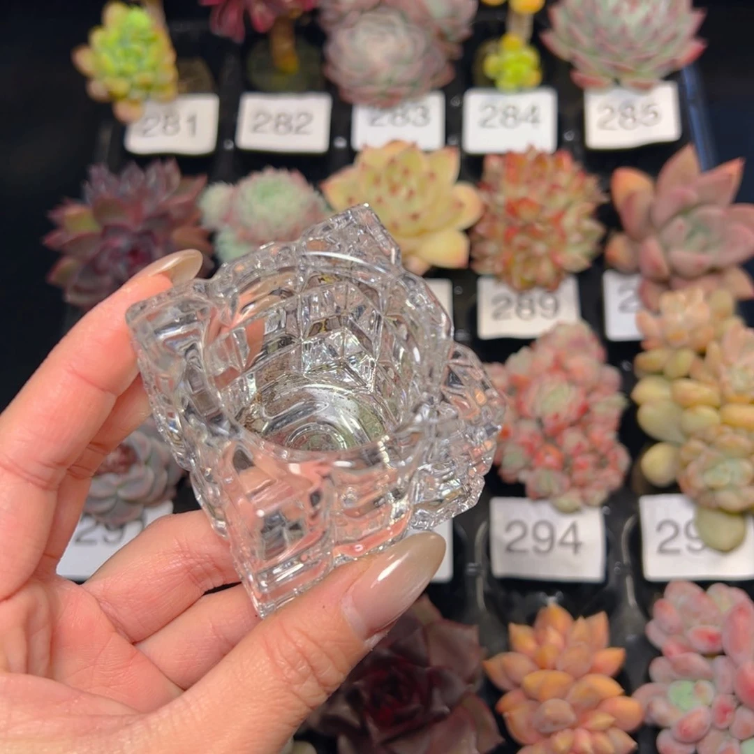 L**芳水晶杯一个…………