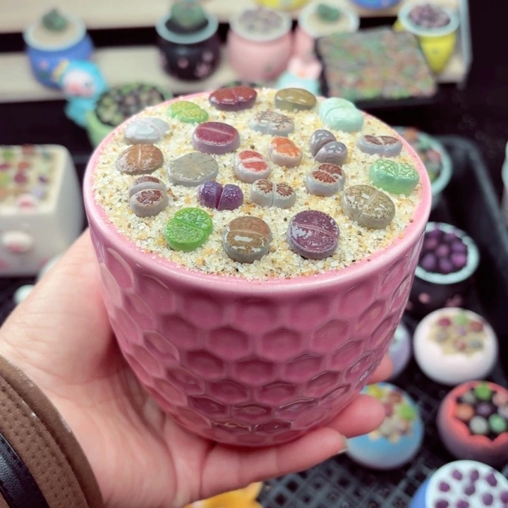 549零下地区记得拍保温箱