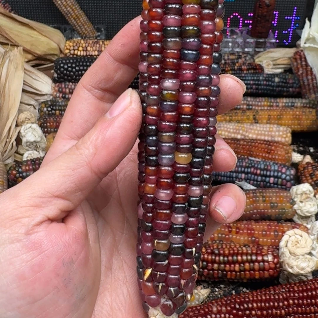 柏香籽/百香籽吊坠T***.