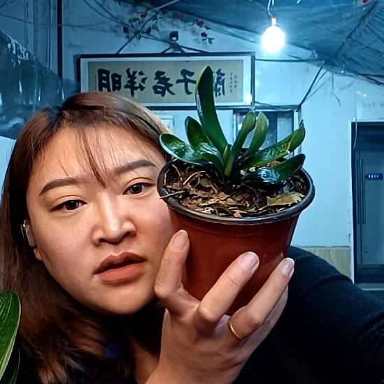 用***55568半莲花一颗39