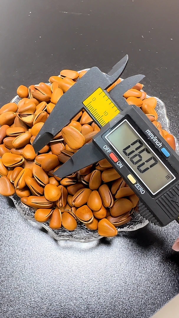 松子特级特大东北开口松籽散装大颗粒原味红松子孕妇零食自家新货