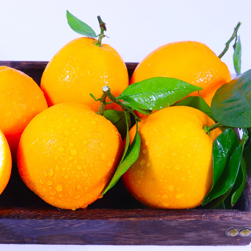 （虔能杯）江西赣南脐橙皮薄多汁口感清甜东三省甘肃宁夏内蒙古专拍