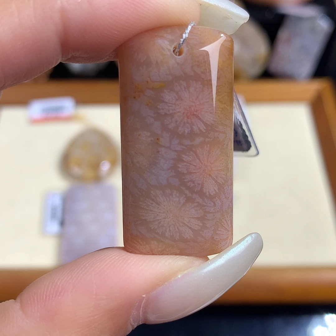 吊坠(赠链)未镶嵌硅化珊瑚（珊瑚玉）62号