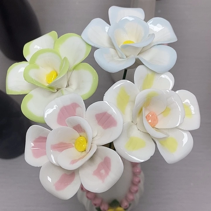 陶瓷陶瓷材料加工4