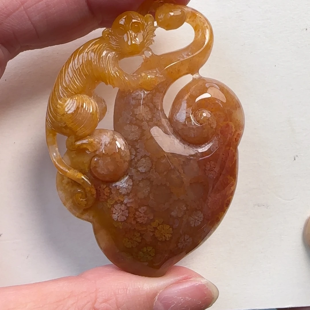 硅化珊瑚（珊瑚玉）未镶嵌颈饰