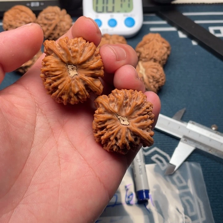 文玩核桃满天星全品