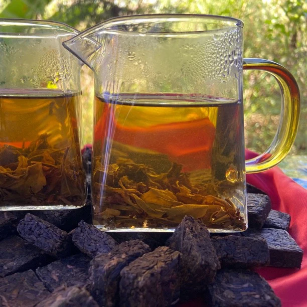 泡水泡茶公道杯皆可 野生金龙茶杯