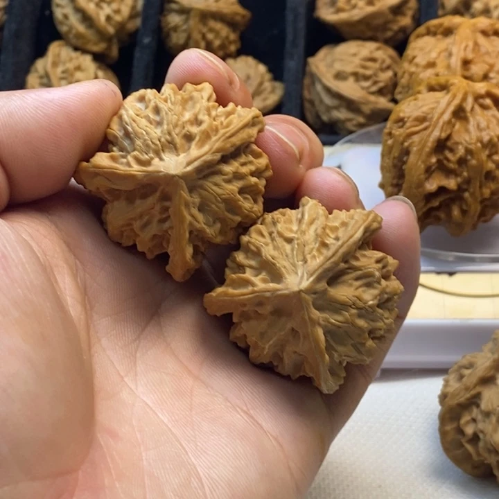 无花朵哈哈哈哈哈哈哈哈哈哈