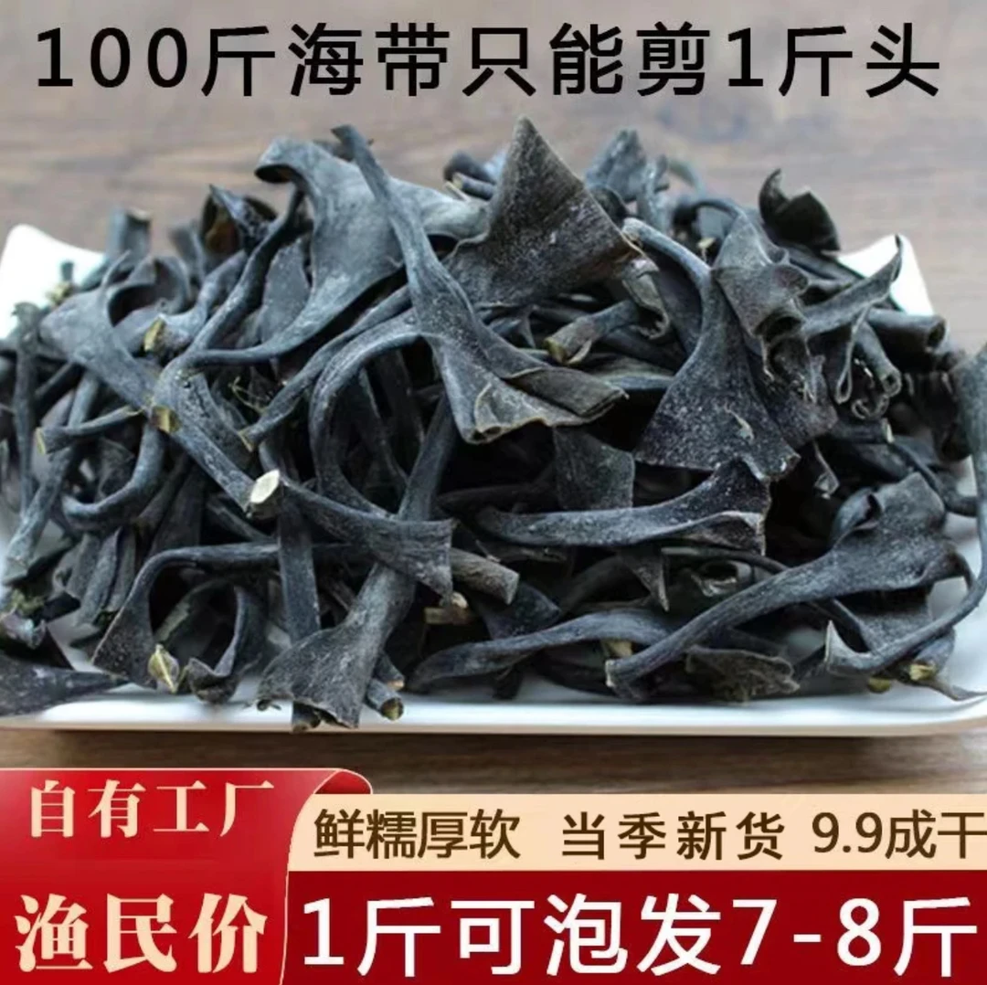 正宗福建霞浦海带头头茬新货自然日晒干货厚实软糯厂家直销