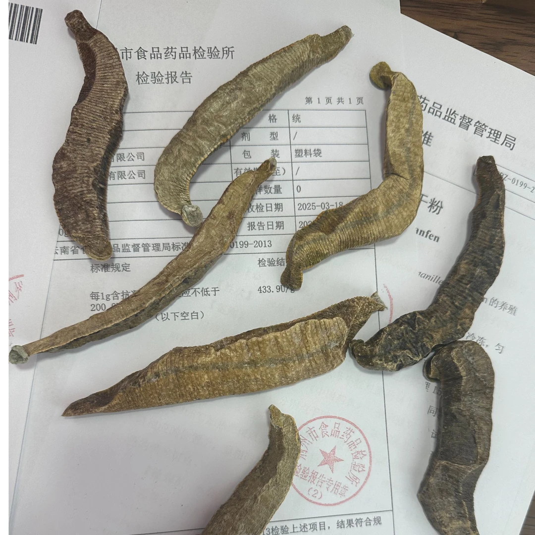 精选广西 菲牛水蛭冻干粉