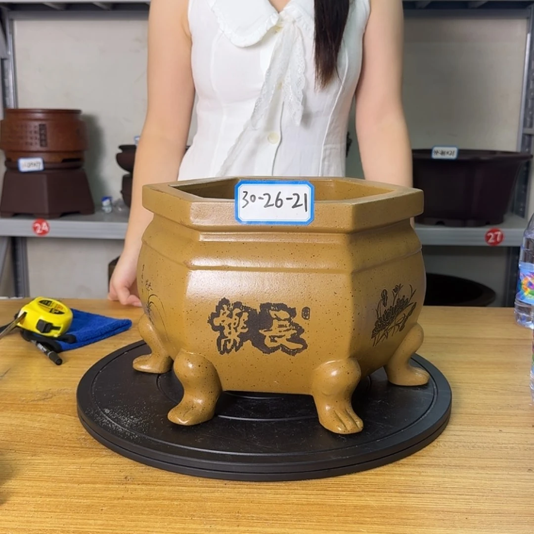 紫砂花盆紫砂花盆