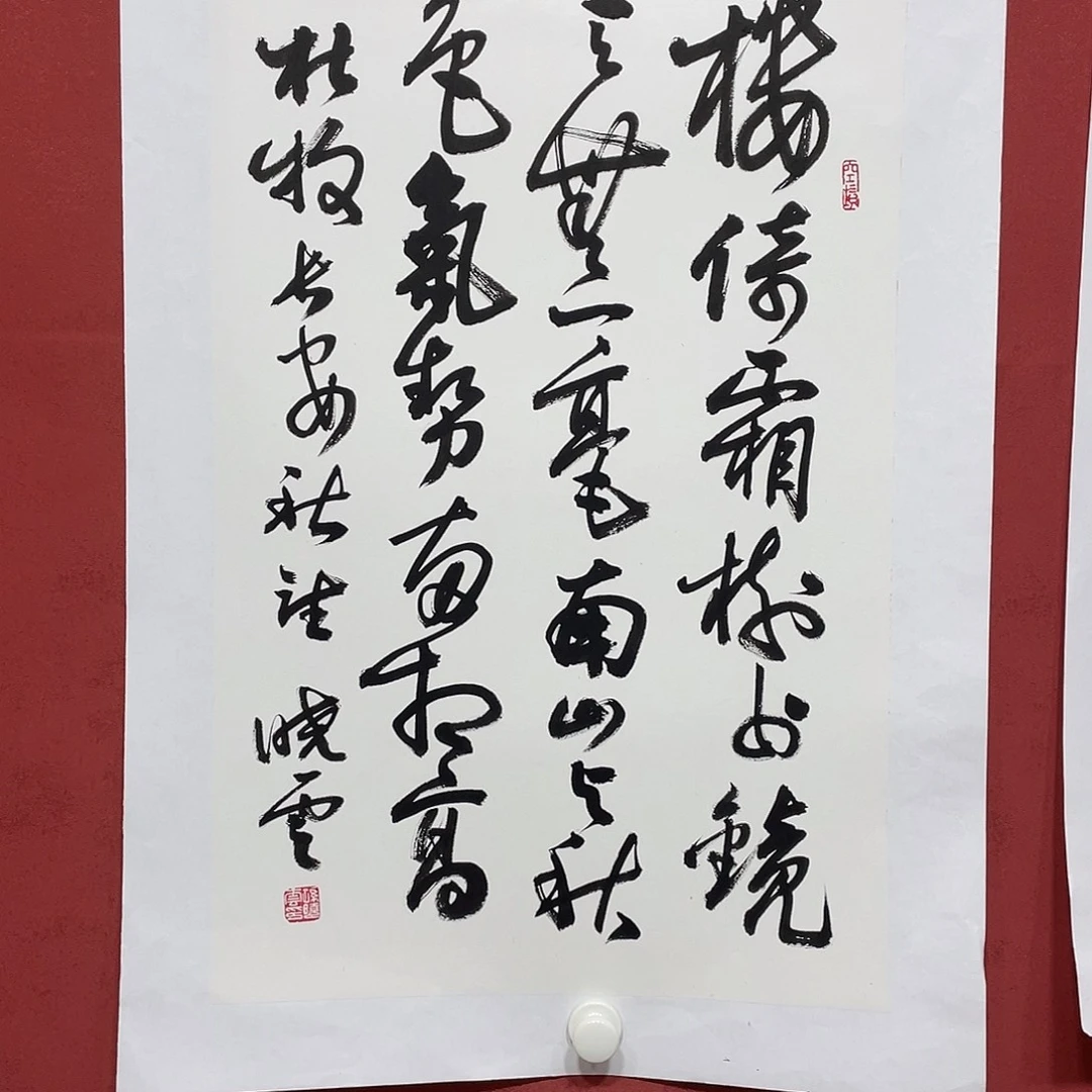 书法楼依白色直播大漏