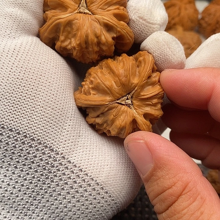 文***明核桃手串/手链拼接白狮子了28