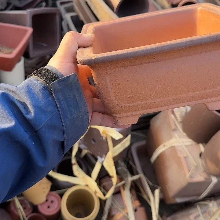 是一个不知名作家与著名导演兼电影