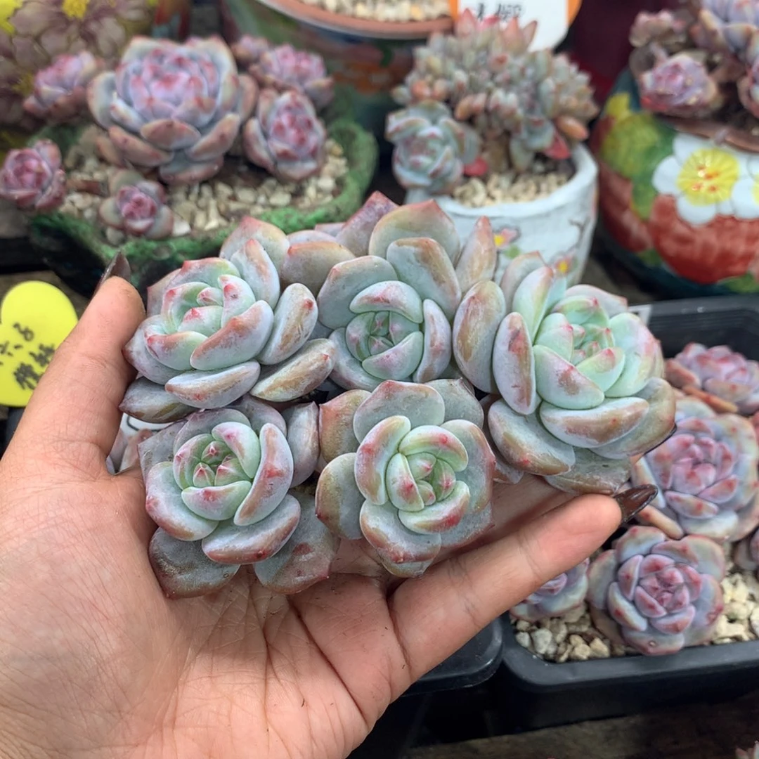 哈哈哈哈哈哈哈哈哈