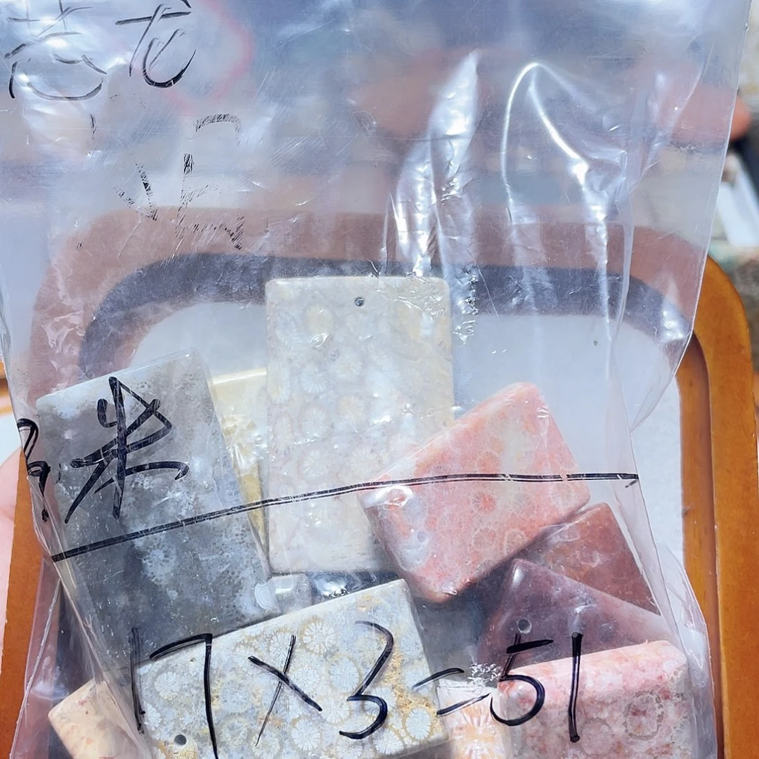 恶***龙硅化珊瑚（珊瑚玉）合金颈饰